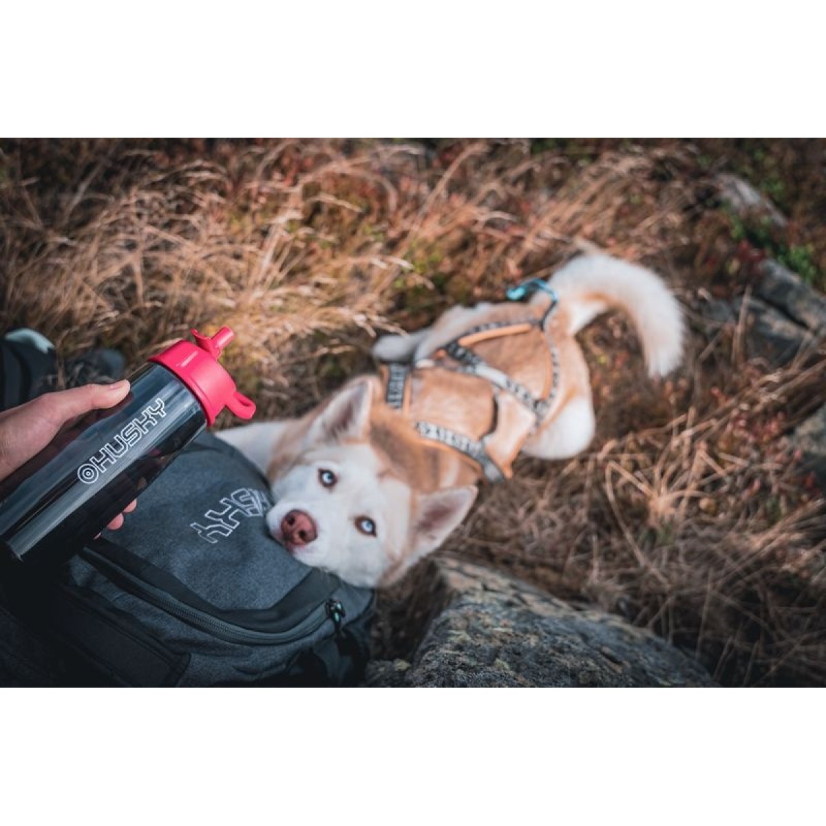 Бутилка Husky Springler 750 зелен HUSKY - изглед 5 - Extreme-bg.com Бутилка Husky Springler 750 зелен HUSKY - изглед 5