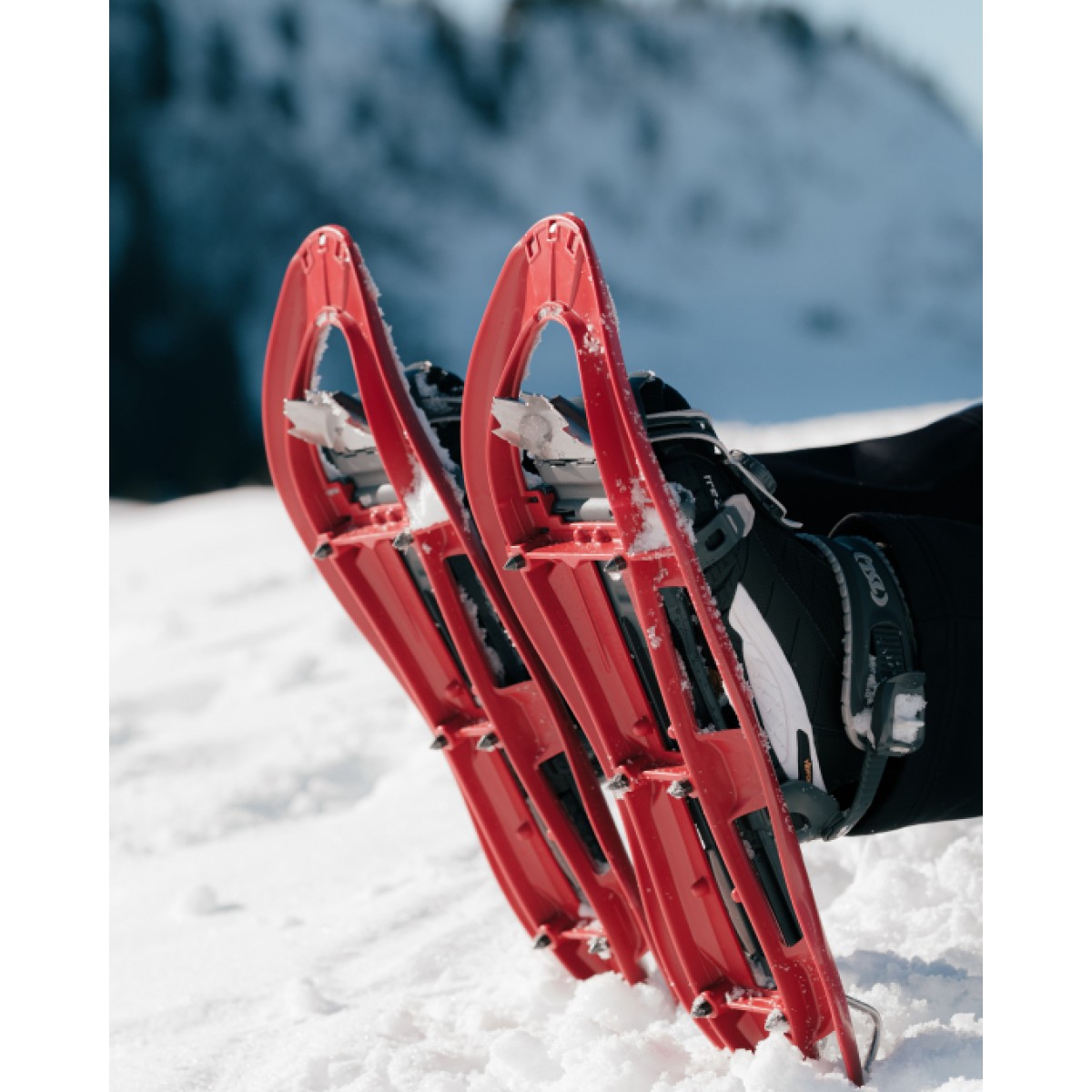 Snow shoes TSL 325 Initial Brick TSL - view 5