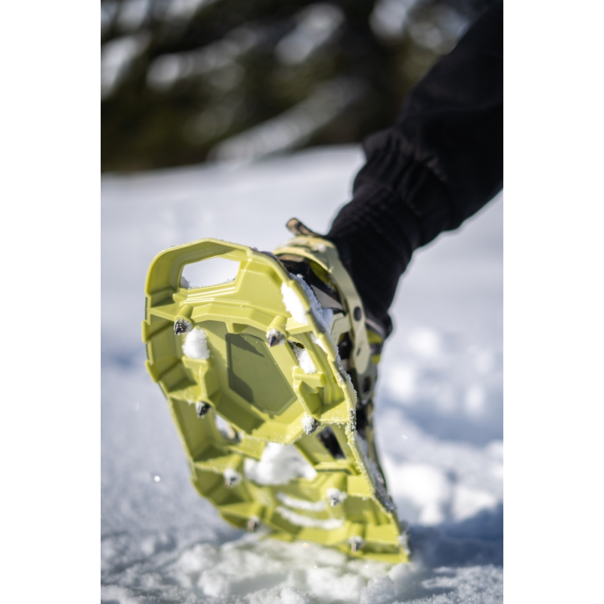 Снегоходки TSL Smart L Winter garden TSL - изглед 5