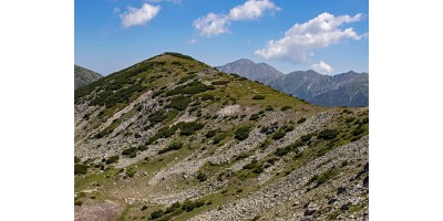 5 easy mountain hikes suitable for children