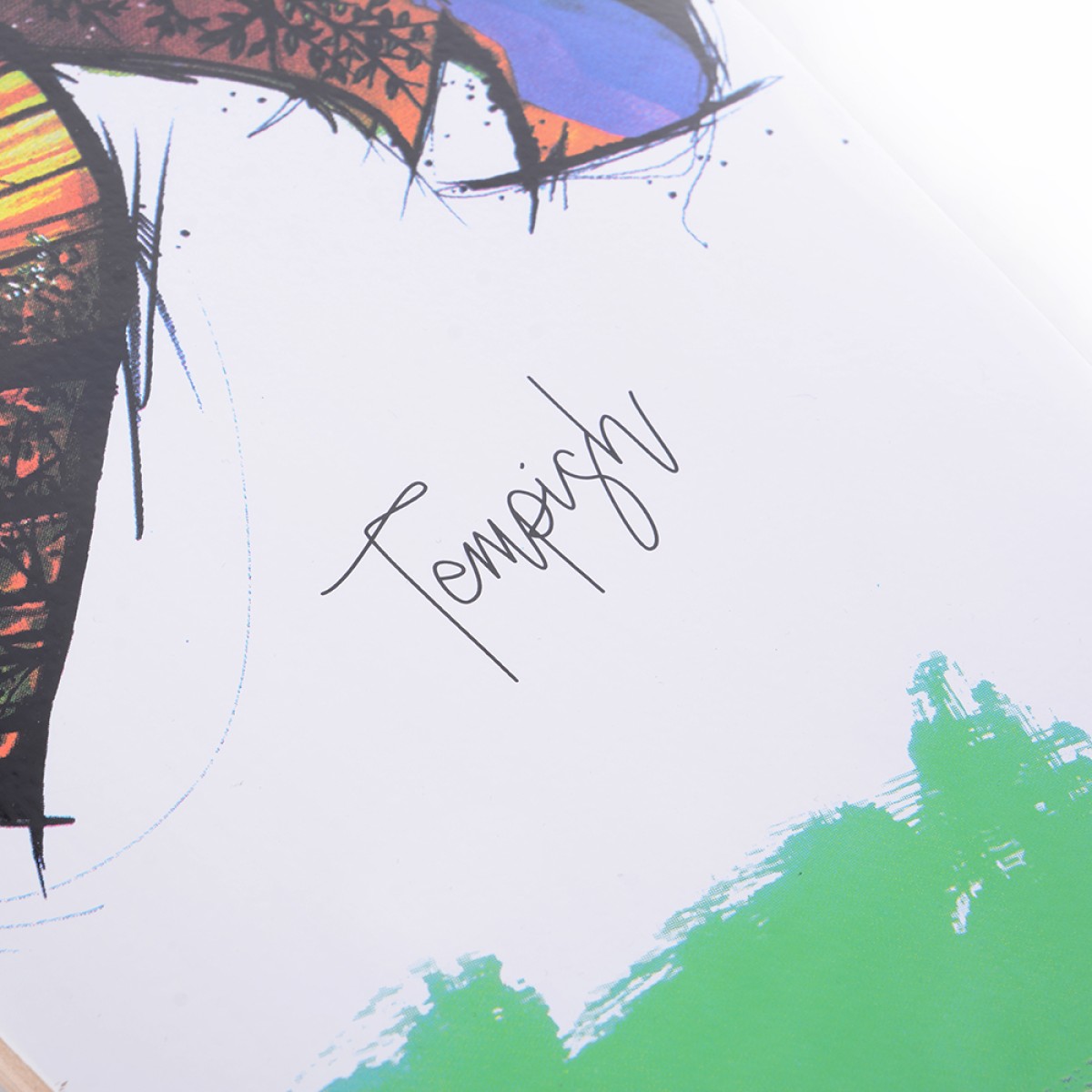 Лонгборд Fish-IN TEMPISH - изглед 12 - Extreme-bg.com Лонгборд Fish-IN TEMPISH - изглед 12